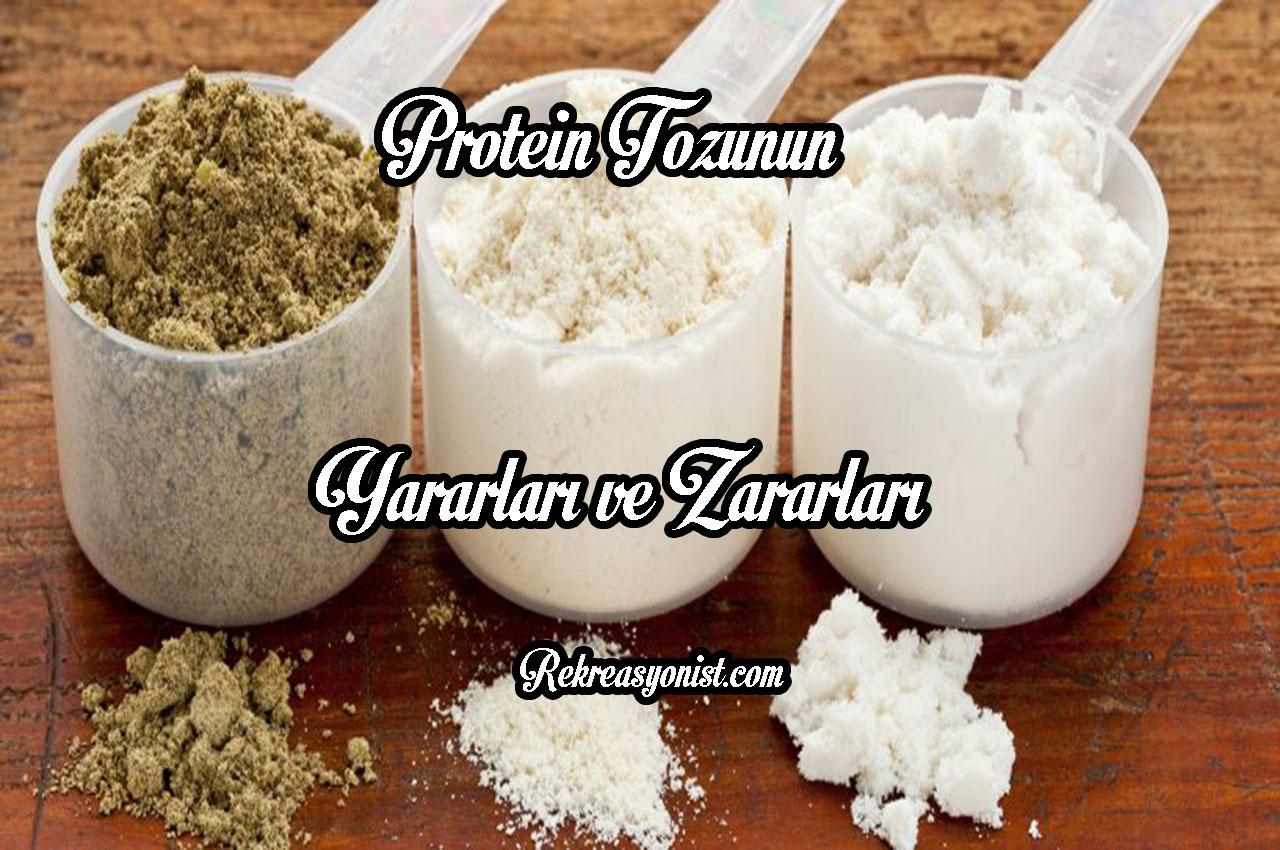 Protein Tozunun Yararları ve Zararları