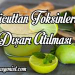 Vücuttan toksinlerin dışarı atılması