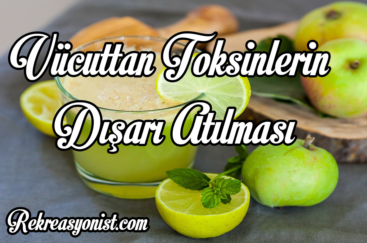 Vücuttan toksinlerin dışarı atılması