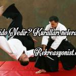 Aikido Nedir? Kuralları nelerdir?