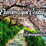 Ekorekreasyon Çeşitliliği