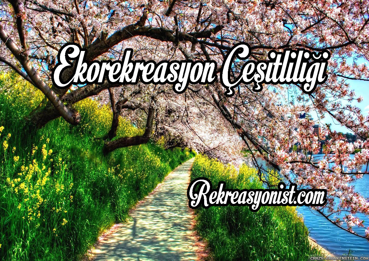 Ekorekreasyon Çeşitliliği