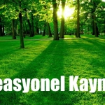 Rekreasyonel Kaynaklar
