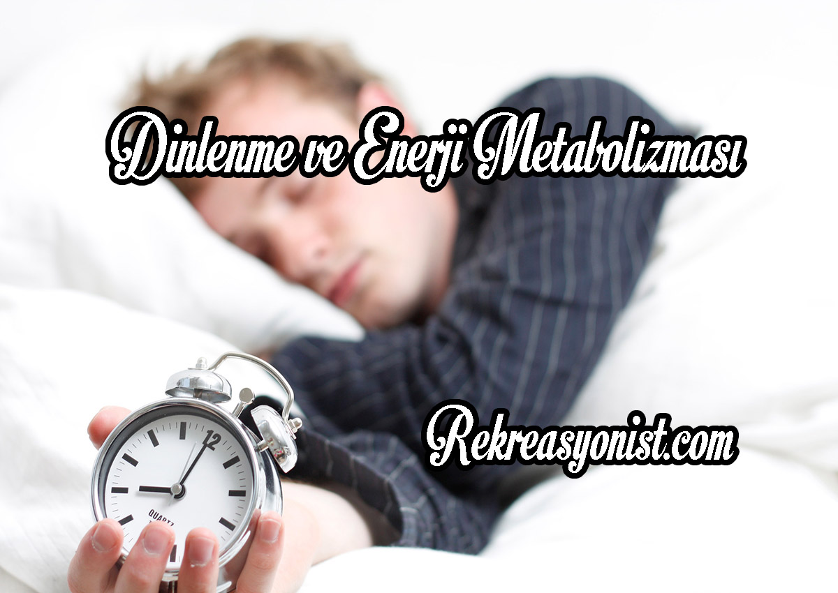 Dinlenme ve Enerji Metabolizması