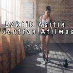 Laktik Asitin Vücuttan Atılması