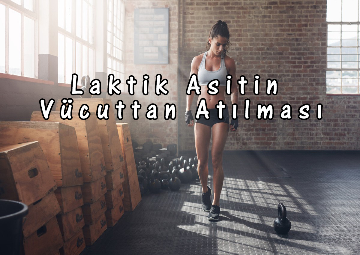 Laktik Asitin Vücuttan Atılması