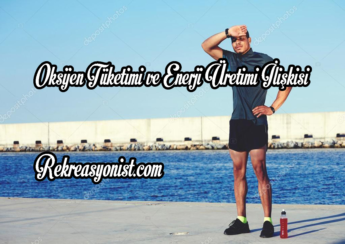 Oksijen Tüketimi ve Enerji Üretimi ilişkisi