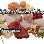 Yağların ve Proteinlerin Oksidasyonu