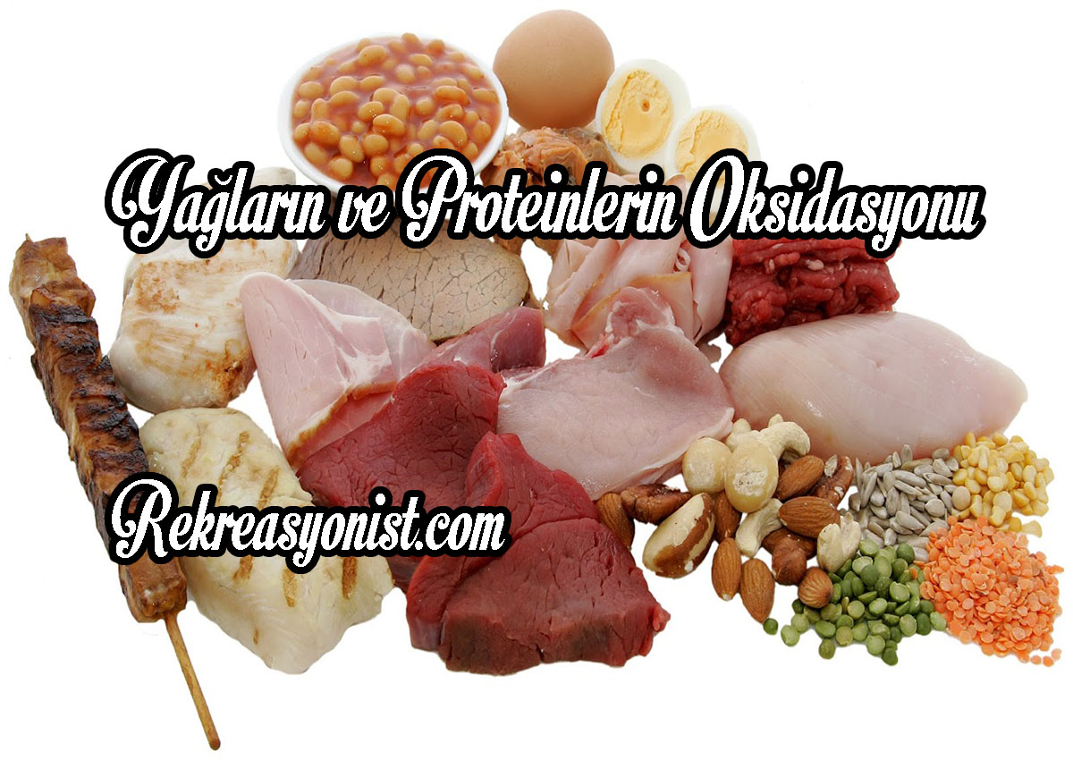Yağların ve Proteinlerin Oksidasyonu