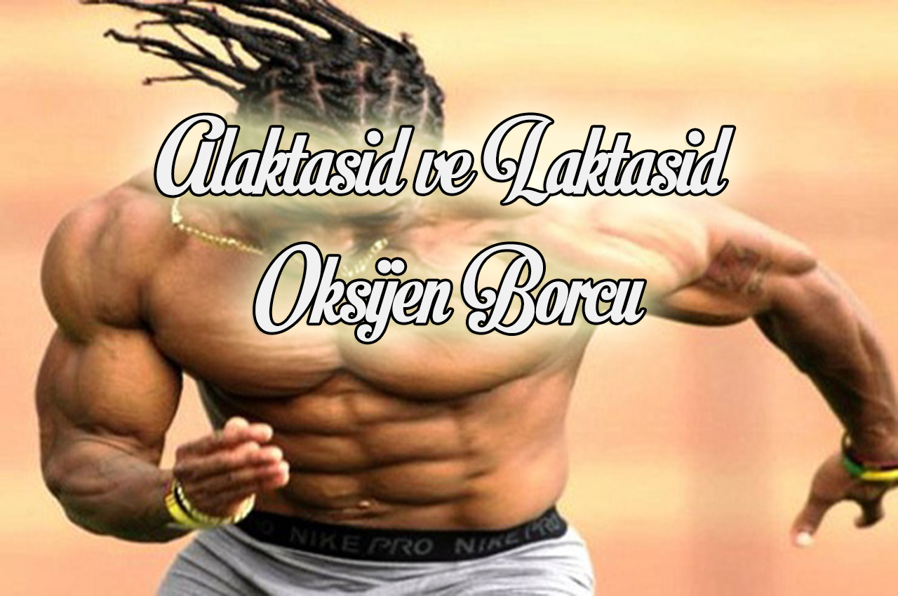 Alaktasid ve Laktasid Oksijen Borcu