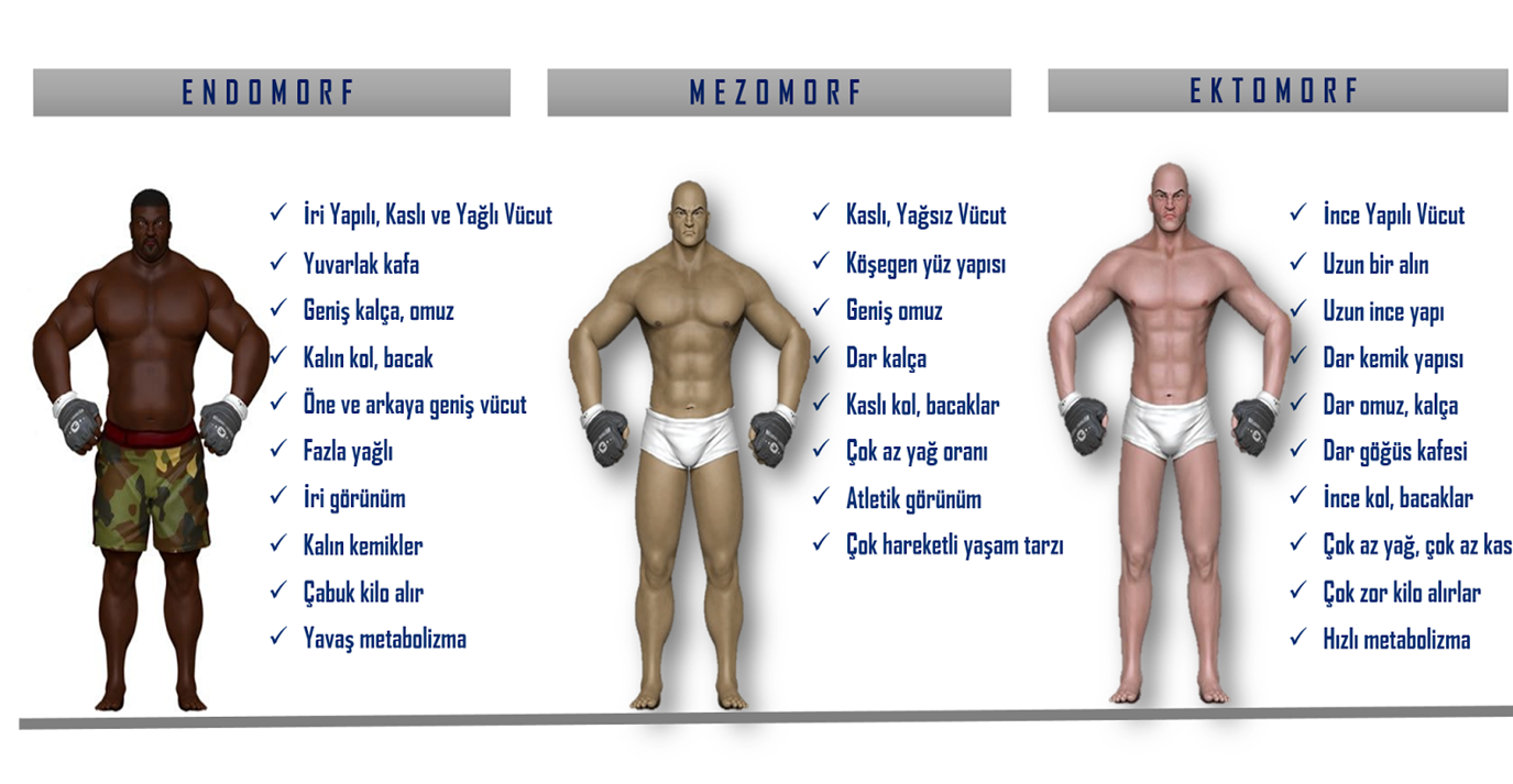Vücut Tiplerine Göre Antrenman ve Beslenme
