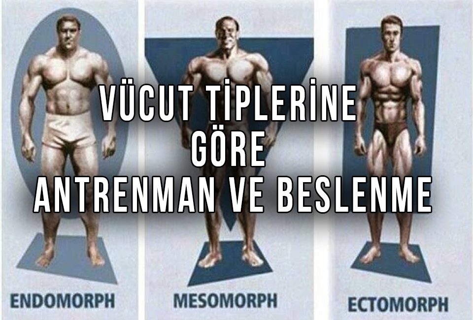 Vücut Tiplerine Göre Antrenman ve Beslenme