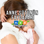 Anne Sütünün Faydaları