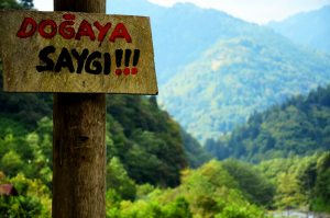 Doğanın sınırlılığı ilkesi