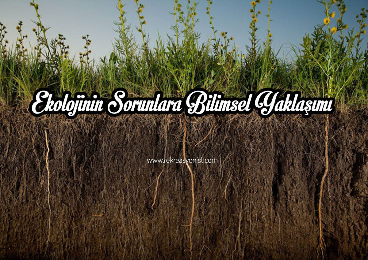 Ekolojinin Sorunlara Bilimsel Yaklaşımı