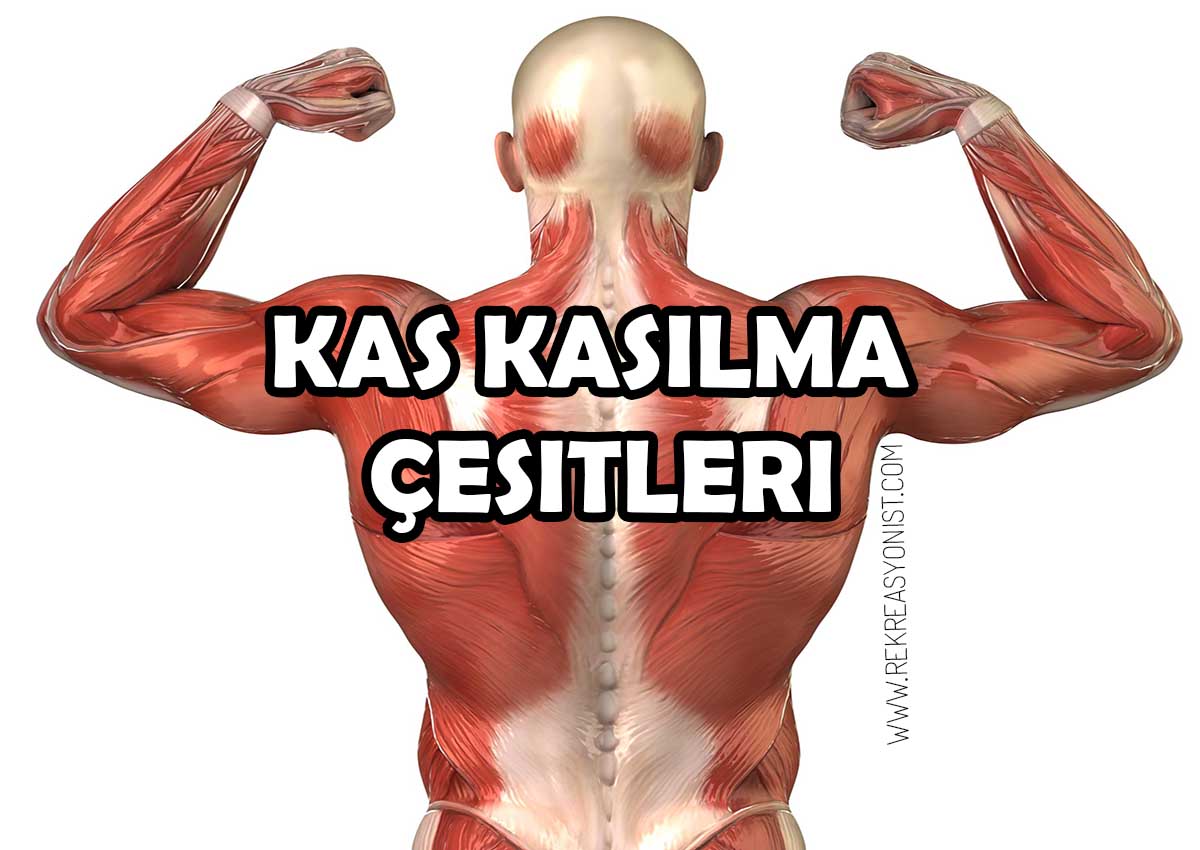 Kas Kasılma Çeşitleri