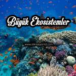 büyük ekosistemler