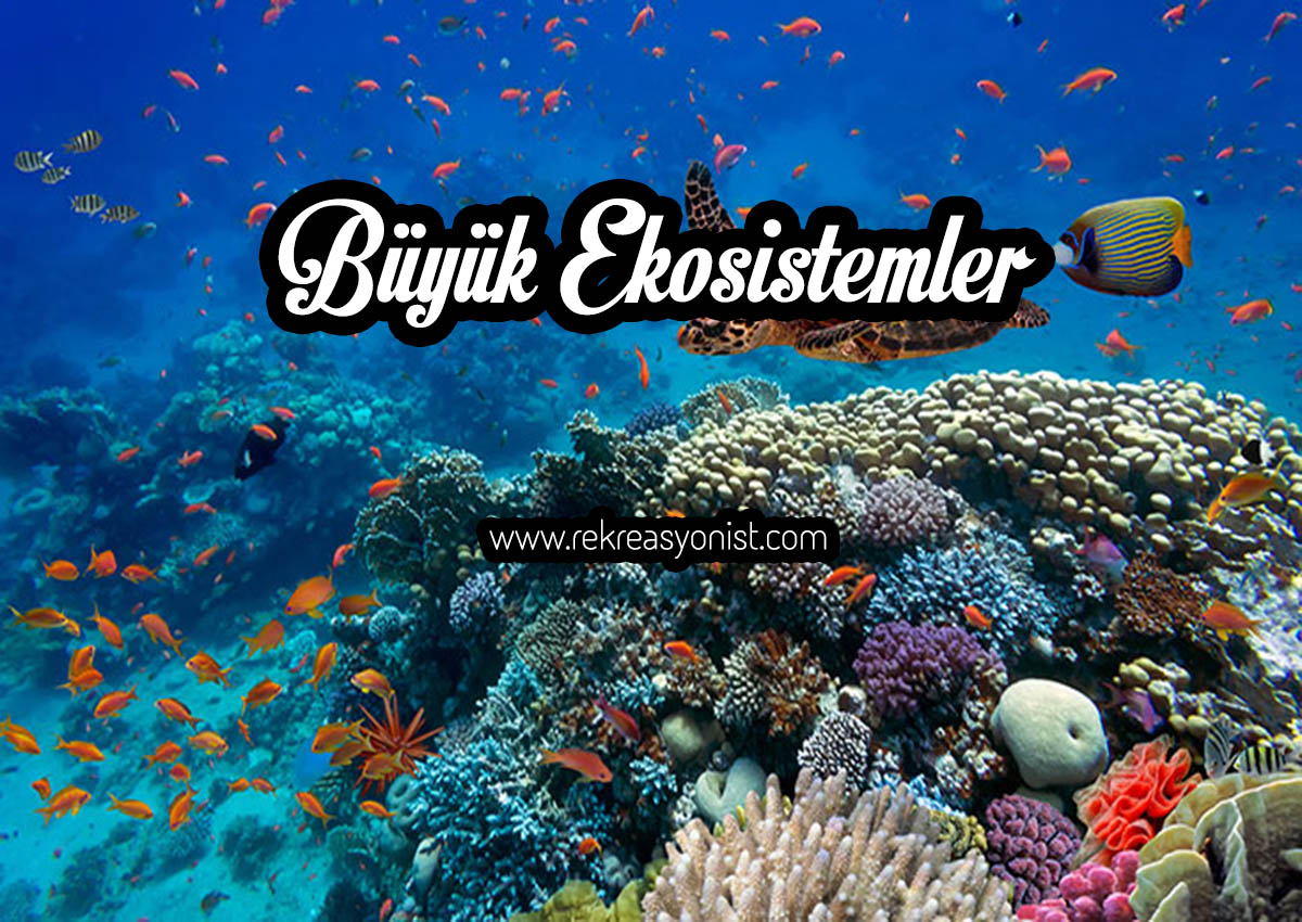 büyük ekosistemler