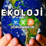 ekoloji