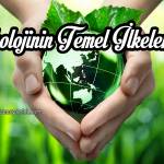 Ekolojinin ilkeleri