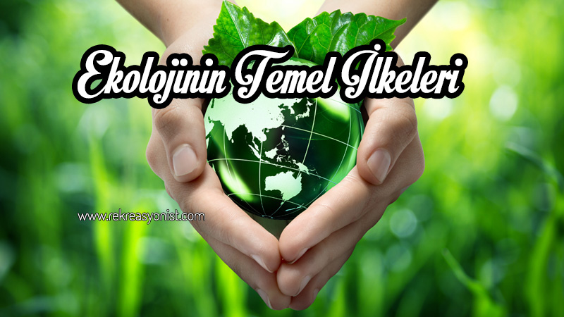 Ekolojinin ilkeleri