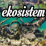 ekosistem