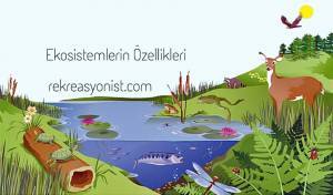 ekosistemlerin özellikleri