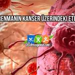Antrenmanın Kanser Üzerindeki Etkileri