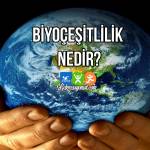 Biyoçeşitlilik