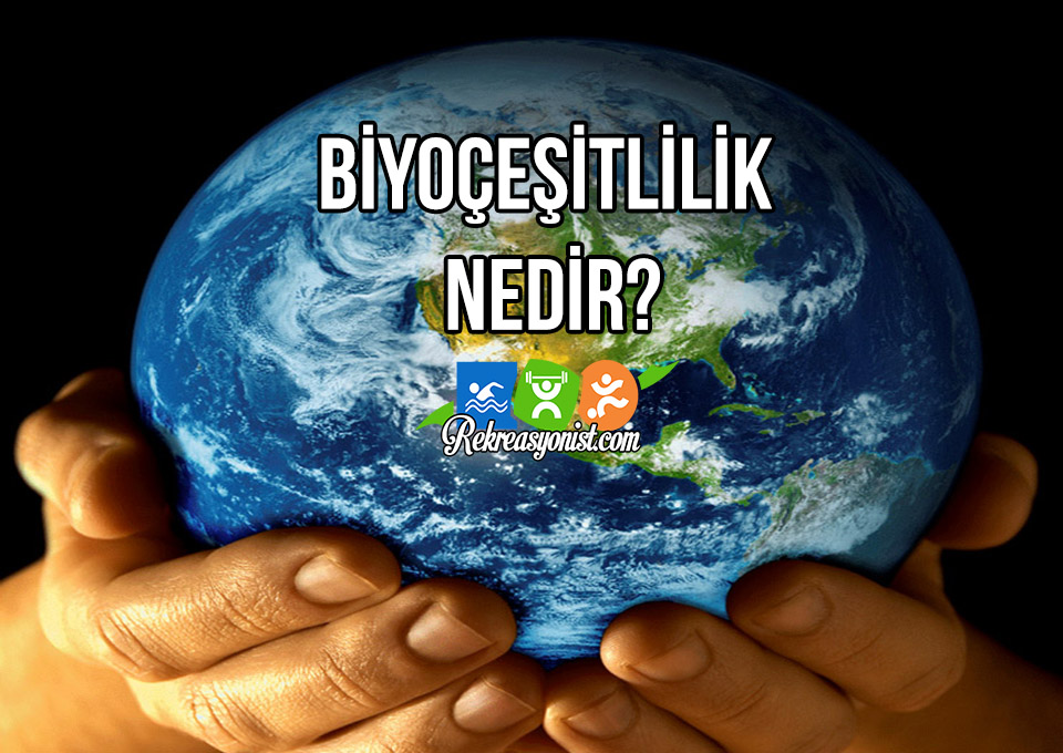 Biyoçeşitlilik