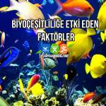 Biyoçeşitliliğe Etki Eden Faktörler