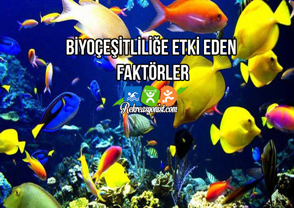 Biyoçeşitliliğe Etki Eden Faktörler