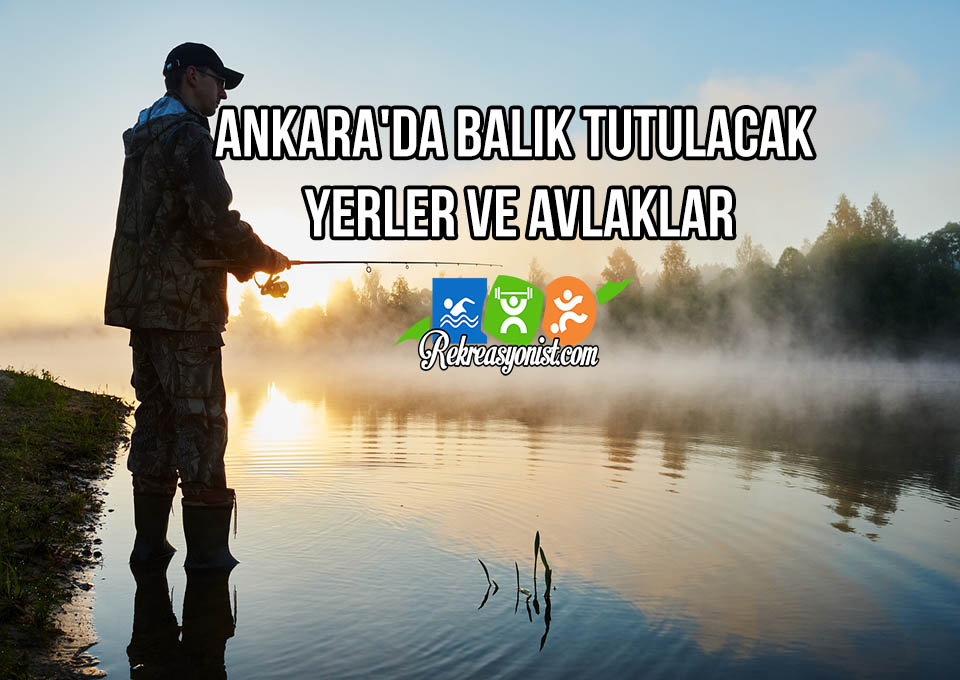 Ankara'da Balık Avı