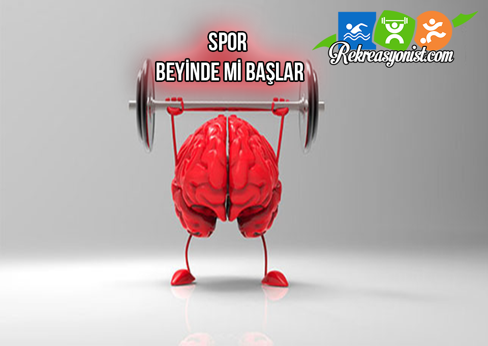 Spor beyinde mi başlar?