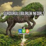 Sürdürülebilirlik