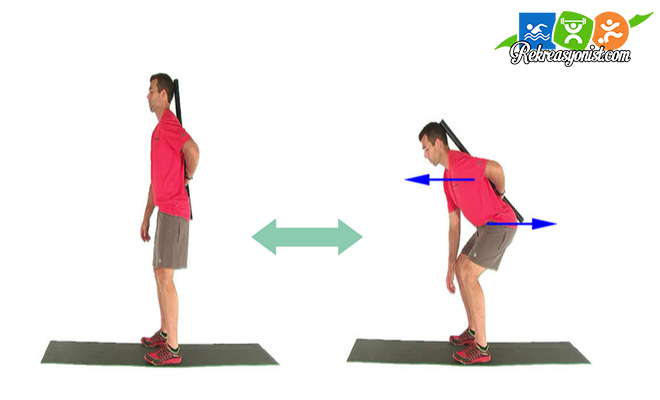 hip hinge
