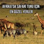 Afrika'da Safari Turu