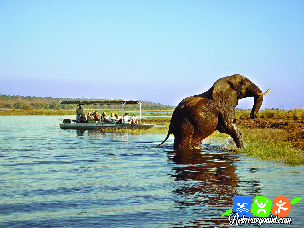 Chobe Milli Parkı