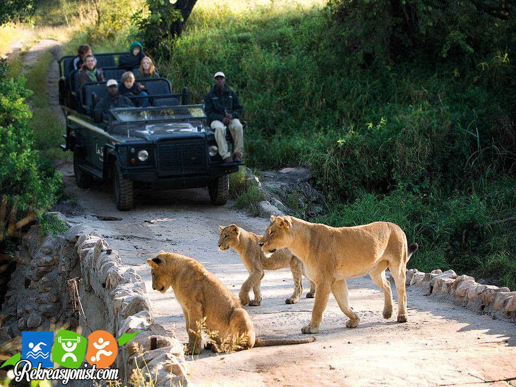 Kruger Milli Parkı