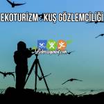Kuş Gözlemciliği