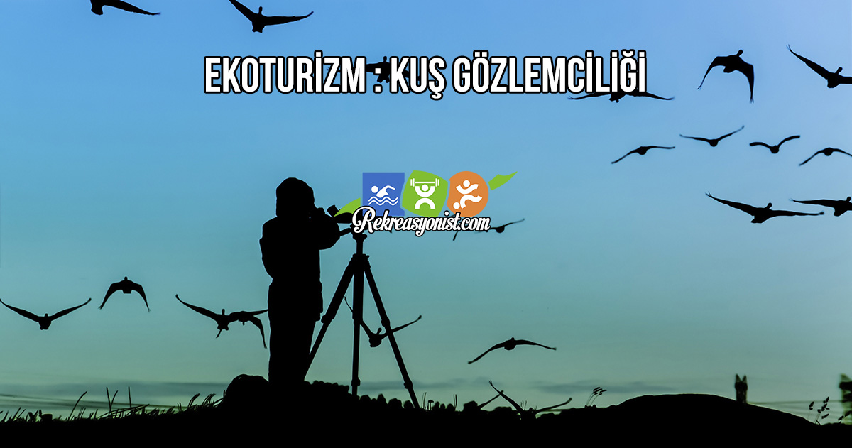 Kuş Gözlemciliği