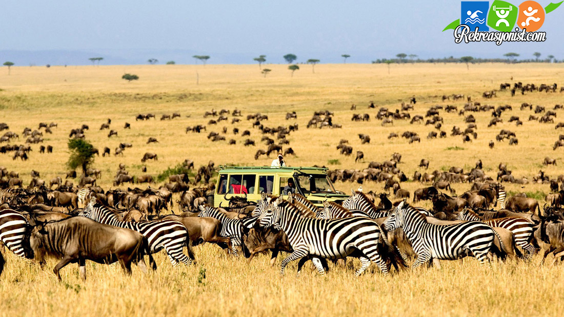 Serengeti Milli Parkı