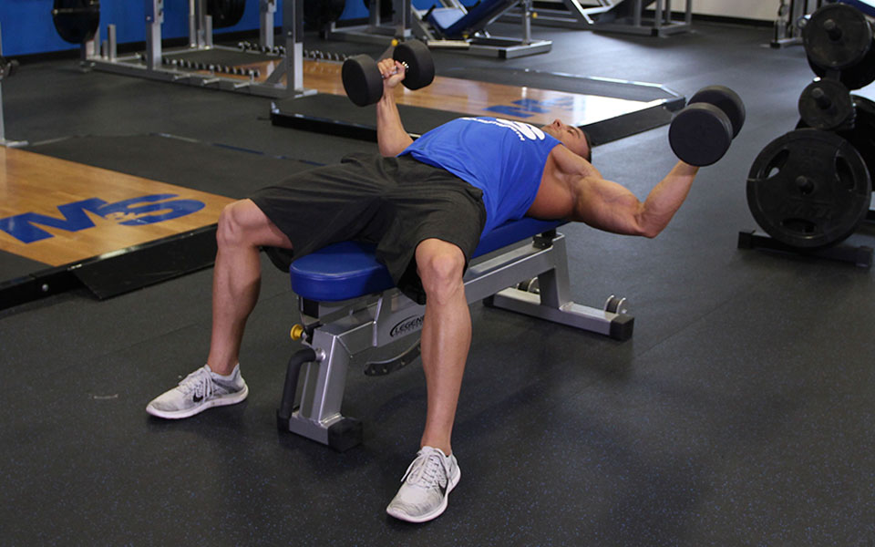 Dumbbell Fly