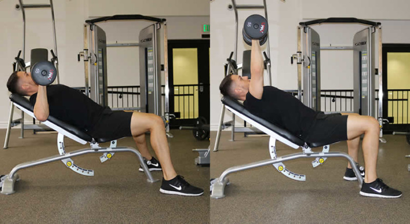Dumbbell Incline Press