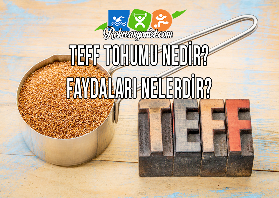 Teff Tohumu Nedir? Faydaları Nelerdir?