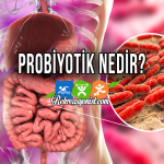 Probiyotik Nedir