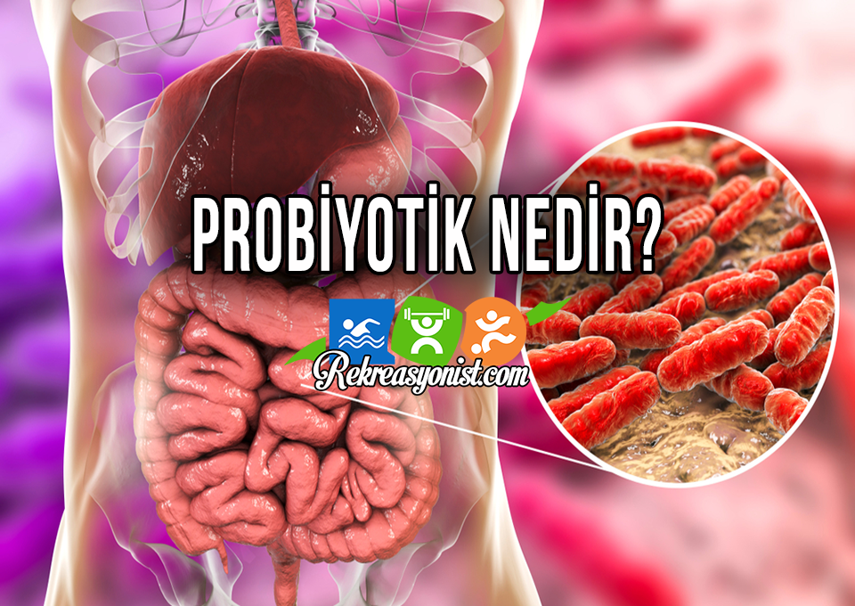 Probiyotik Nedir