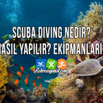 Scuba Diving Nedir?