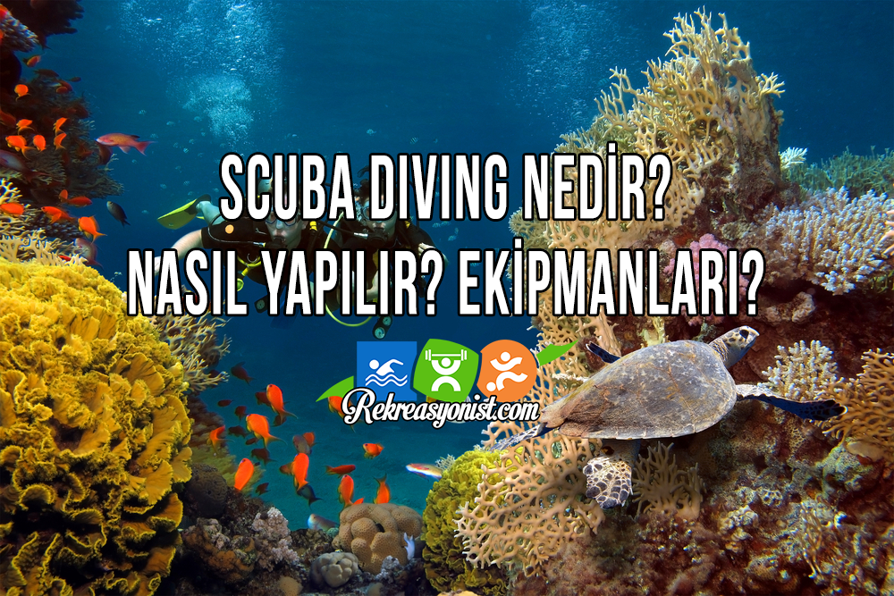 Scuba Diving Nedir?
