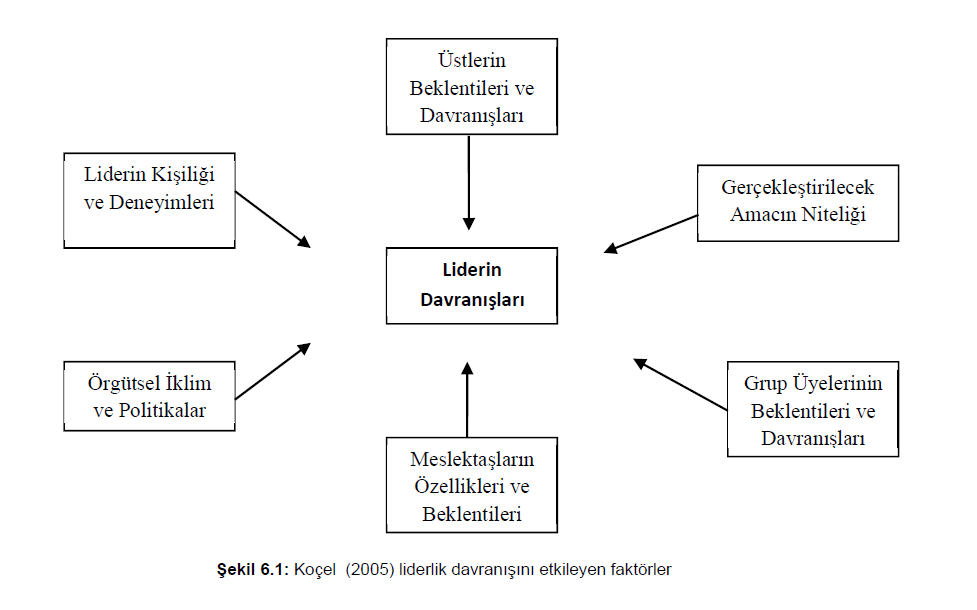 Liderlik Yaklaşımları